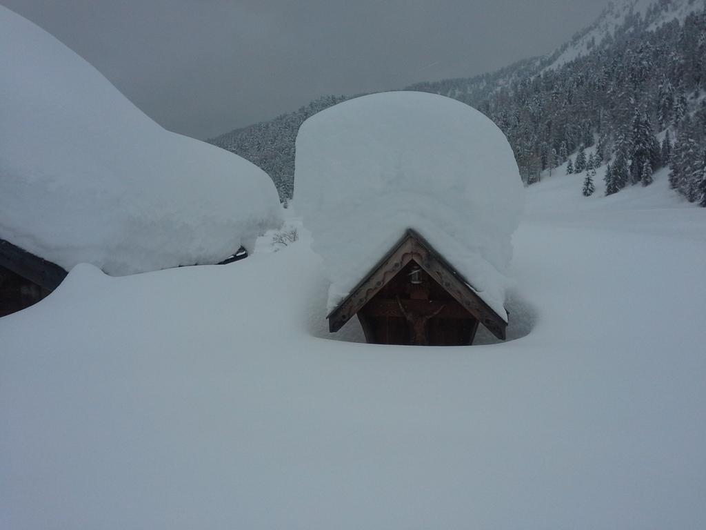 Appartamento Niki Campitello Campitello di Fassa Room photo